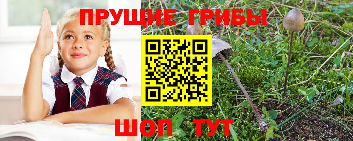 Тулун  цены наркотик  Вход с VPN  Псилоцибиновые грибы мицелий  Галлюциногенные грибы Magic Shrooms 
