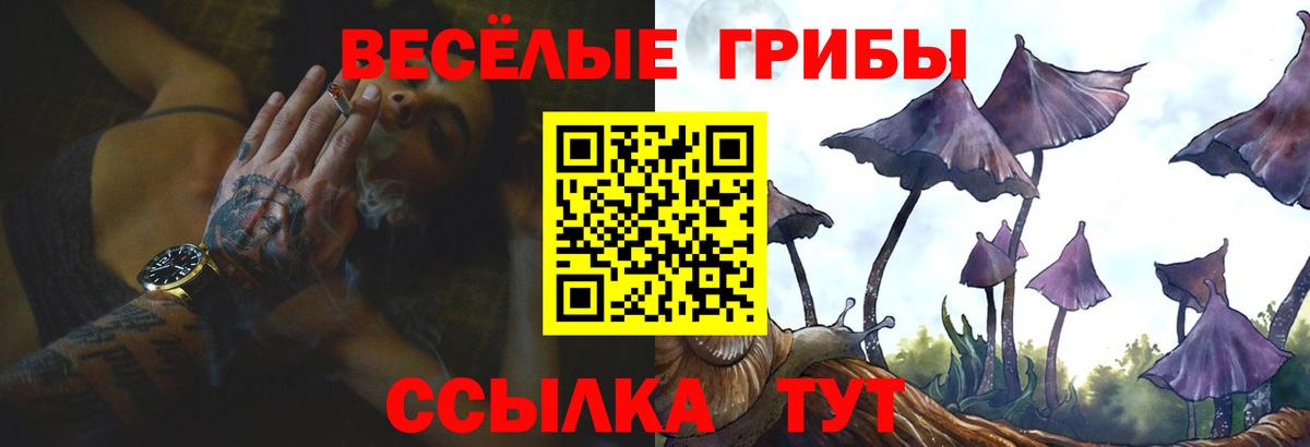 Псилоцибиновые грибы Cubensis Тулун